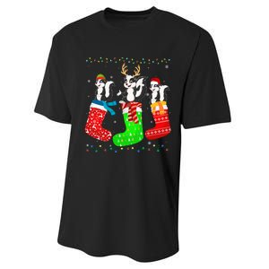 Skunk In Xmas Socks Funny Holiday Ugly Sweater Christmas Long Sleeve Performance Sprint T-Shirt