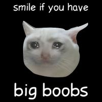 Smile If You Have Big Boobs Cringey Cooling Performance Crew T-Shirt
