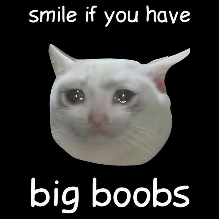 Smile If You Have Big Boobs Cringey Cooling Performance Crew T-Shirt