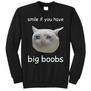 Smile If You Have Big Boobs Cringey Sweatshirt