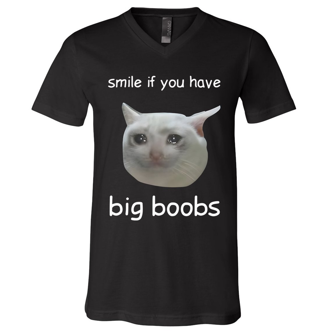 Smile If You Have Big Boobs Cringey V-Neck T-Shirt