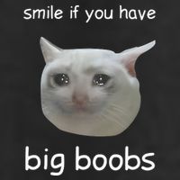 Smile If You Have Big Boobs Cringey Adult Drive Performance Visor