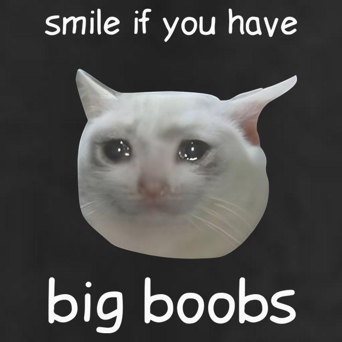 Smile If You Have Big Boobs Cringey Adult Drive Performance Visor