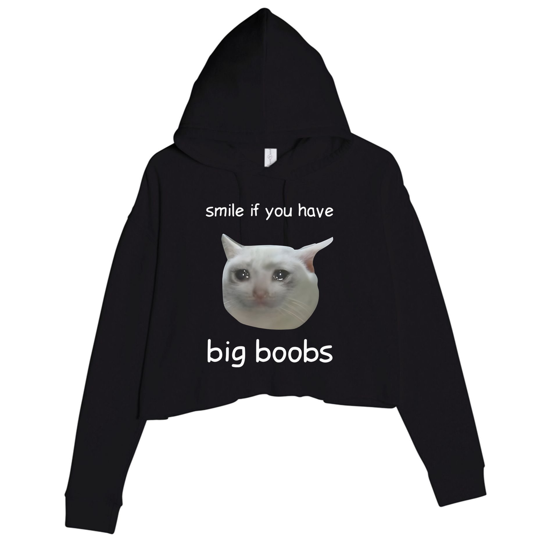 Smile If You Have Big Boobs Cringey Crop Fleece Hoodie