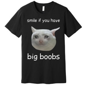 Smile If You Have Big Boobs Cringey Premium T-Shirt