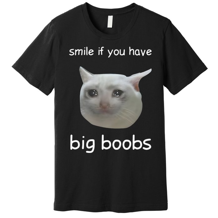 Smile If You Have Big Boobs Cringey Premium T-Shirt