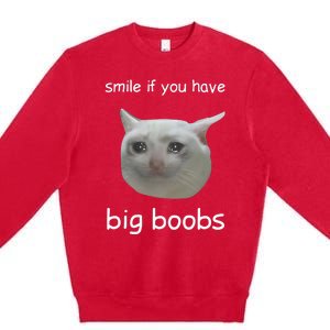 Smile If You Have Big Boobs Cringey Premium Crewneck Sweatshirt