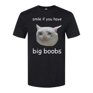 Smile If You Have Big Boobs Cringey Softstyle CVC T-Shirt