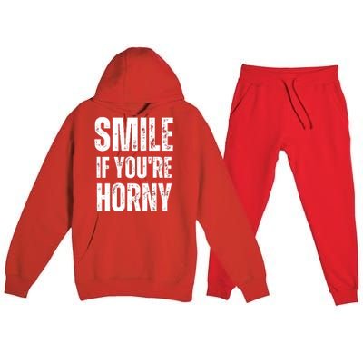 Smile If Youre Horny Funny Adult Gag Gift Premium Hooded Sweatsuit Set