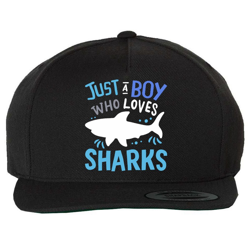 Shark Just A Boy Who Loves Sharks Gift Wool Snapback Cap