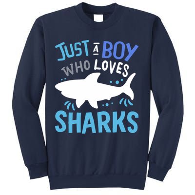 Shark Just A Boy Who Loves Sharks Gift Sweatshirt