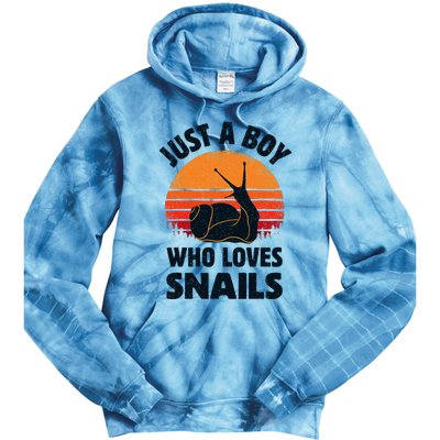 Snail Just A Boy Who Loves Snails Insects Retro Vintage Tie Dye Hoodie