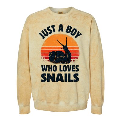 Snail Just A Boy Who Loves Snails Insects Retro Vintage Colorblast Crewneck Sweatshirt