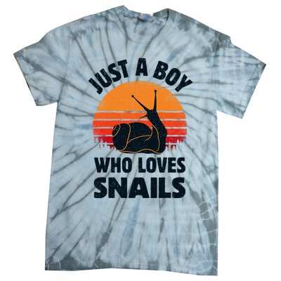 Snail Just A Boy Who Loves Snails Insects Retro Vintage Tie-Dye T-Shirt