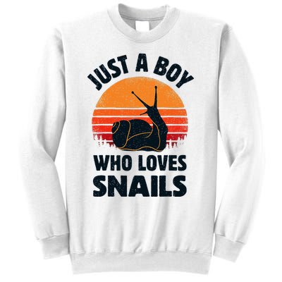 Snail Just A Boy Who Loves Snails Insects Retro Vintage Sweatshirt