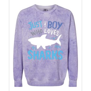 Shark Just A Who Loves Sharks Gift Colorblast Crewneck Sweatshirt