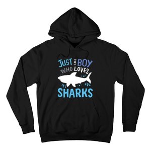 Shark Just A Who Loves Sharks Gift Hoodie