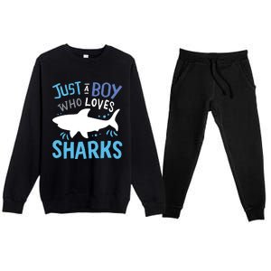 Shark Just A Who Loves Sharks Gift Premium Crewneck Sweatsuit Set