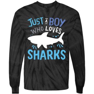 Shark Just A Who Loves Sharks Gift Tie-Dye Long Sleeve Shirt