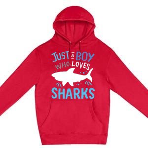 Shark Just A Who Loves Sharks Gift Premium Pullover Hoodie