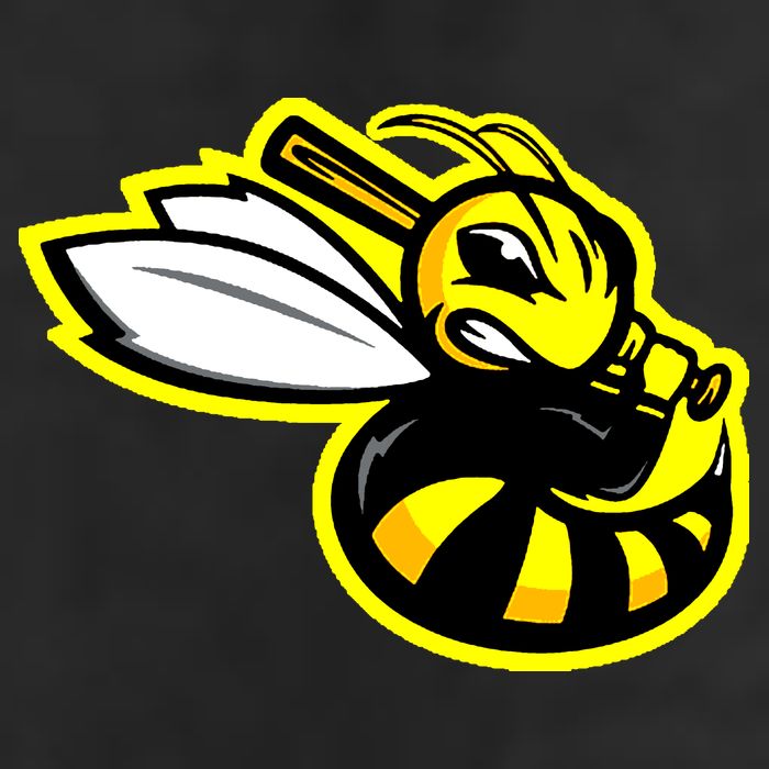 San Jose Bees California League Baseball Vintage Logo Hat