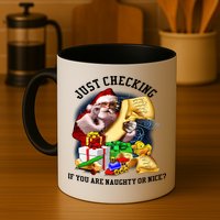 Santa Just Checking If You Are Naughty Or Nice Mug