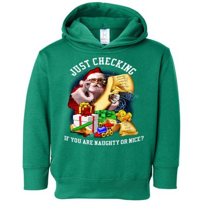 Santa Just Checking If You Are Naughty Or Nice Toddler Hoodie