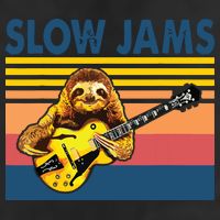 Slow Jams GUITAR Funny Sloth Play Guitar Adult Drive Performance Visor