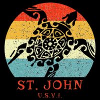 St. John Usvi Vintage Retro Tribal Turtle Vacation Kids Hoodie