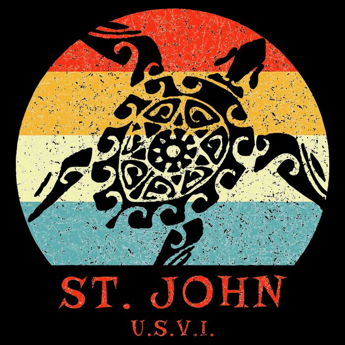 St. John Usvi Vintage Retro Tribal Turtle Vacation Kids Hoodie