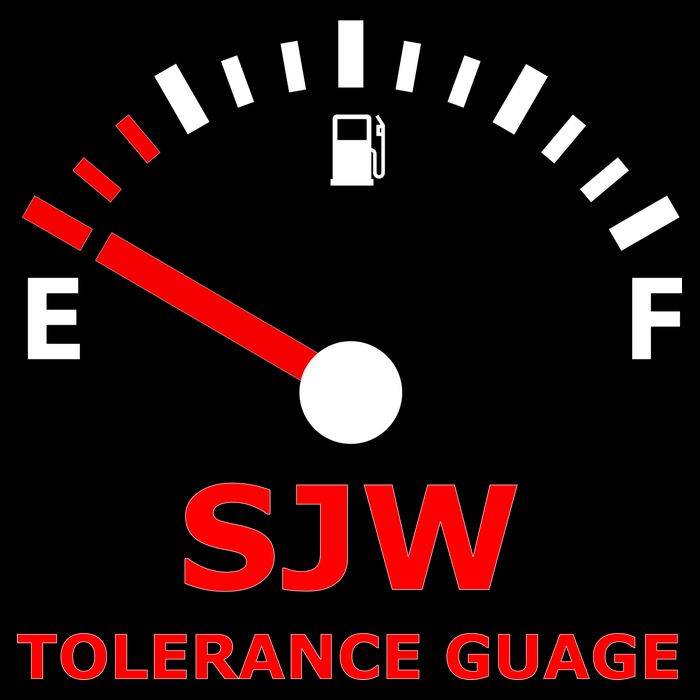 SJW Tolerance Guage Womens T-Shirt