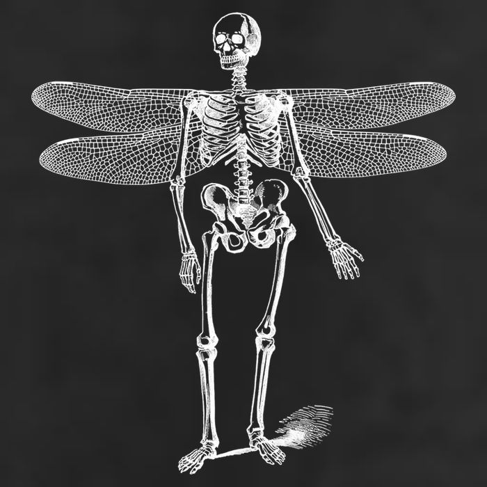 Skeleton Fairy Grunge Adult Drive Performance Visor
