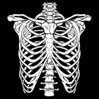 Skeleton Rib Cage Scary Halloween Costume 7-Panel Snapback Hat