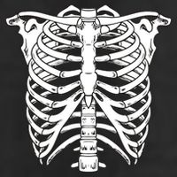 Skeleton Rib Cage Skull Chest 7 Panel Mesh Trucker Snapback Hat