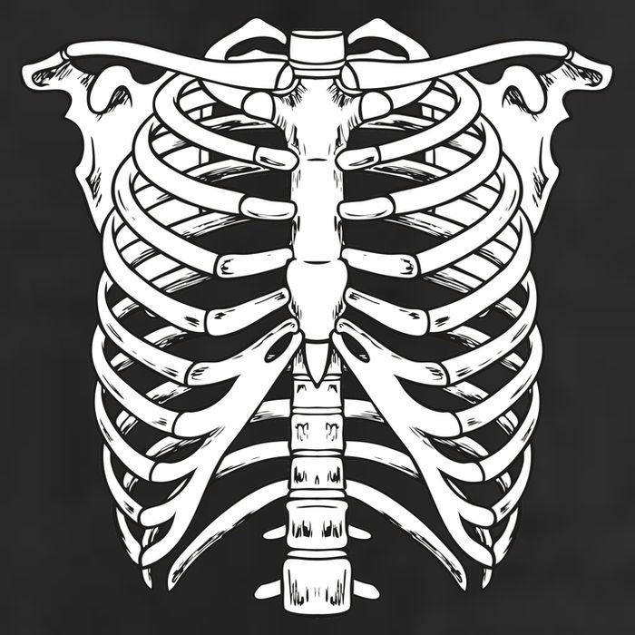 Skeleton Rib Cage Skull Chest 7 Panel Mesh Trucker Snapback Hat
