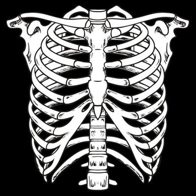 Skeleton Rib Cage Skull Chest T-Shirt
