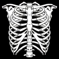 Skeleton Rib Cage Skull Chest Womens T-Shirt