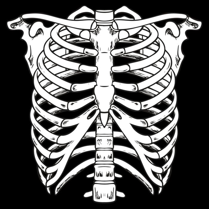 Skeleton Rib Cage Skull Chest Womens T-Shirt
