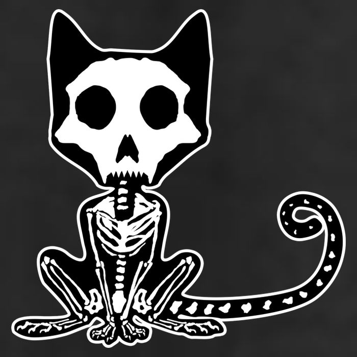 Skeleton X-Ray Cat Day Of The Dead Tumbler