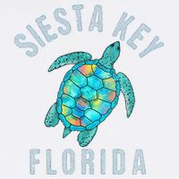 Siesta Key FL Beach Design Sea Turtle Illustration Gift Cooling Performance Crew T-Shirt