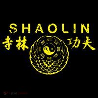 Shaolin Kung Fu Chinese Martial Arts Tall T-Shirt
