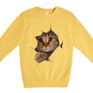 Sweet Kitten Torn Cloth Funny Cat Lover Cat Owner Cat Lady Gift Premium Crewneck Sweatshirt