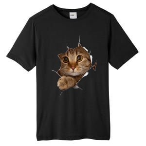 Sweet Kitten Torn Cloth Funny Cat Lover Cat Owner Cat Lady Gift Tall Fusion ChromaSoft Performance T-Shirt