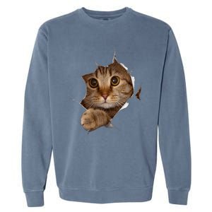 Sweet Kitten Torn Cloth Funny Cat Lover Cat Owner Cat Lady Gift Garment-Dyed Sweatshirt