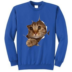 Sweet Kitten Torn Cloth Funny Cat Lover Cat Owner Cat Lady Gift Sweatshirt