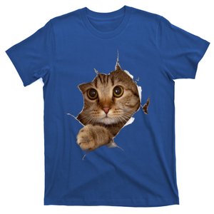 Sweet Kitten Torn Cloth Funny Cat Lover Cat Owner Cat Lady Gift T-Shirt