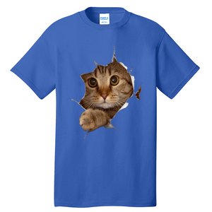 Sweet Kitten Torn Cloth Funny Cat Lover Cat Owner Cat Lady Gift Tall T-Shirt