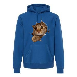 Sweet Kitten Torn Cloth Funny Cat Lover Cat Owner Cat Lady Gift Premium Hoodie