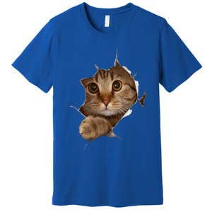 Sweet Kitten Torn Cloth Funny Cat Lover Cat Owner Cat Lady Gift Premium T-Shirt