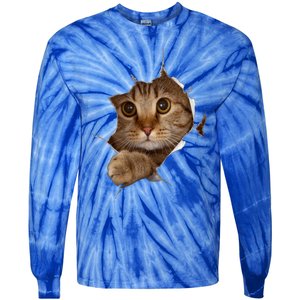 Sweet Kitten Torn Cloth Funny Cat Lover Cat Owner Cat Lady Gift Tie-Dye Long Sleeve Shirt